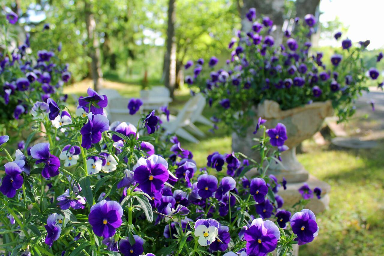 Eraejaerven Eerola Guesthouse Erajarvi Bagian luar foto